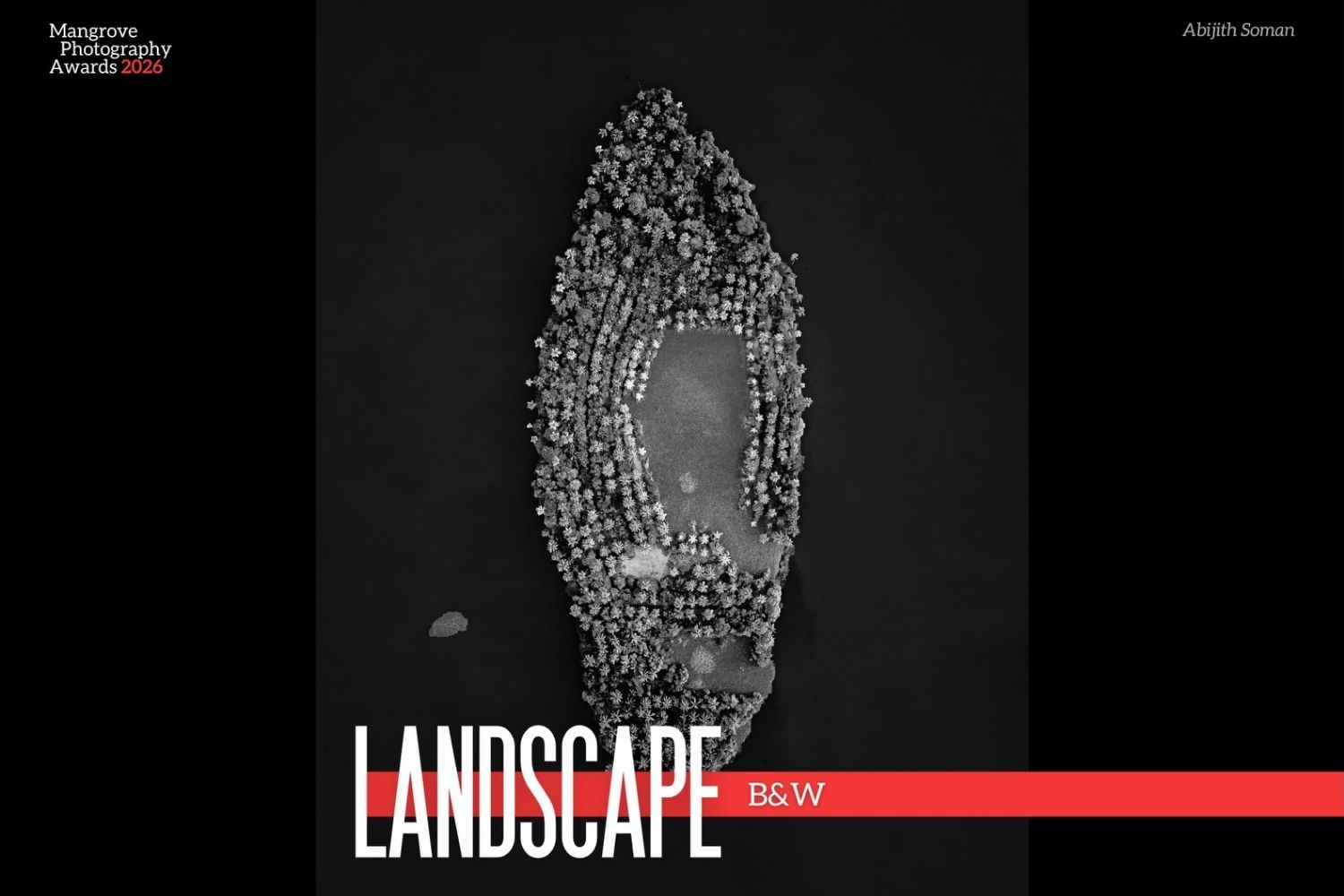 Mangrove Photography Awards 2026 5