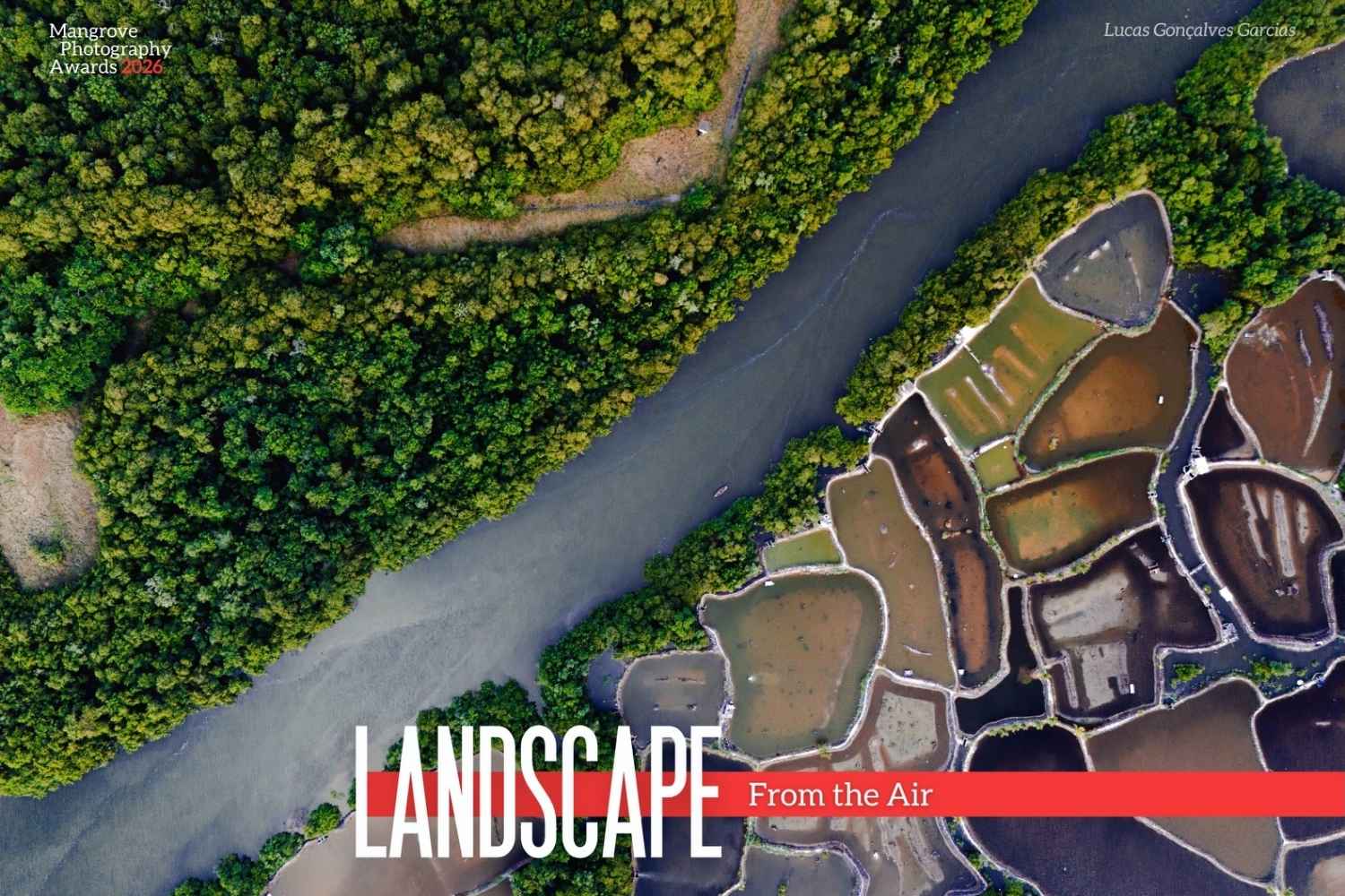 Mangrove Photography Awards 2026 6