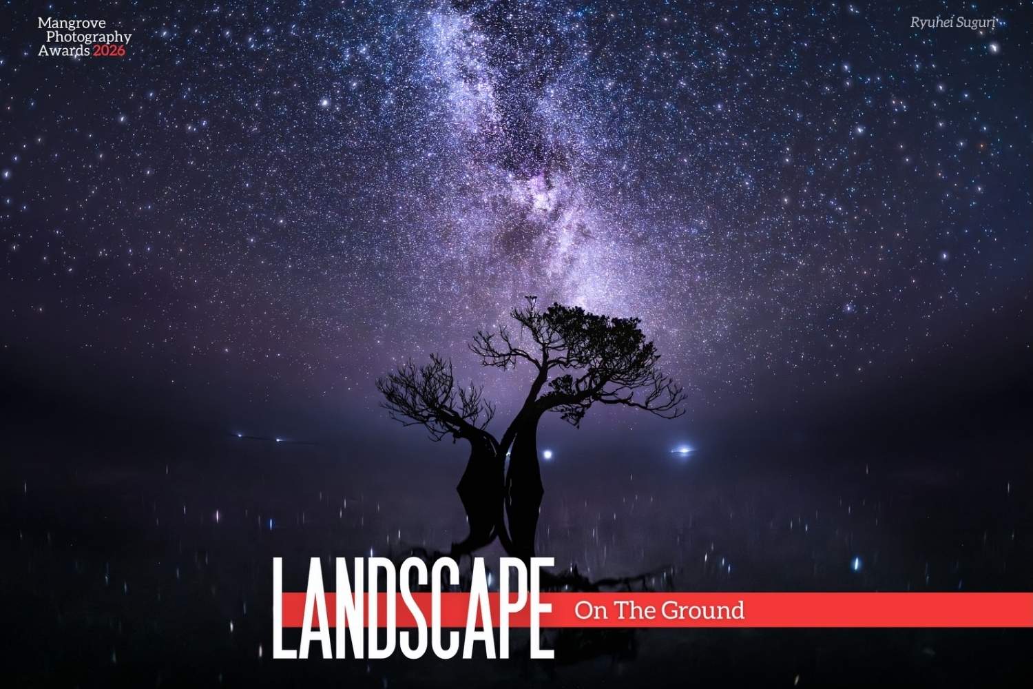 Mangrove Photography Awards 2026 7