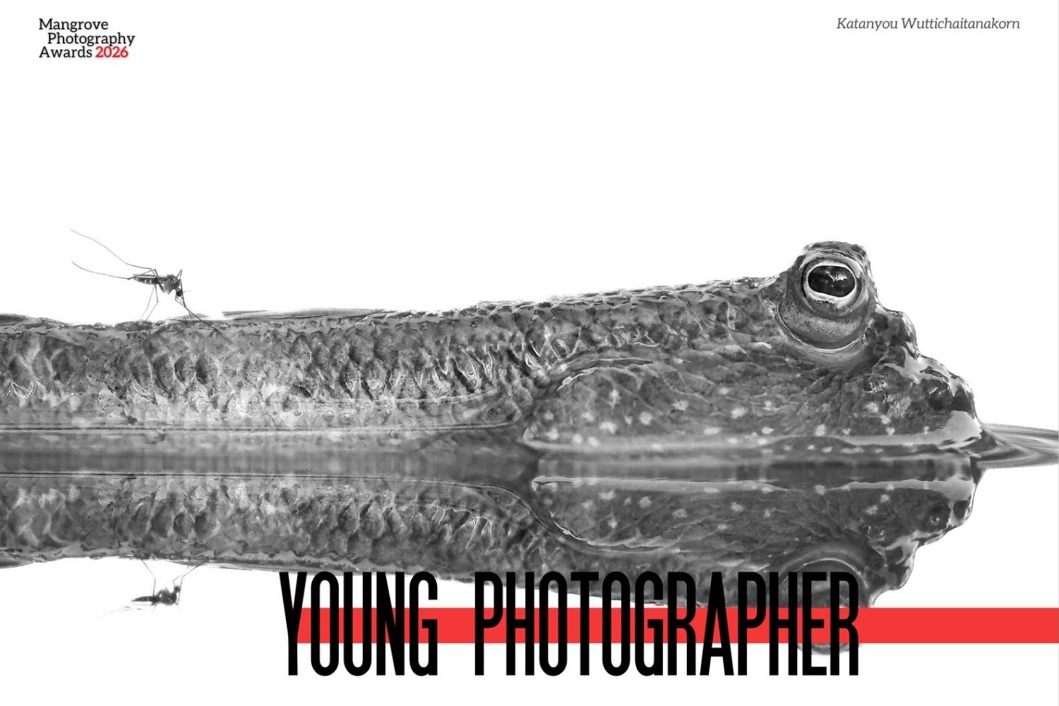 Mangrove Photography Awards 2026 13