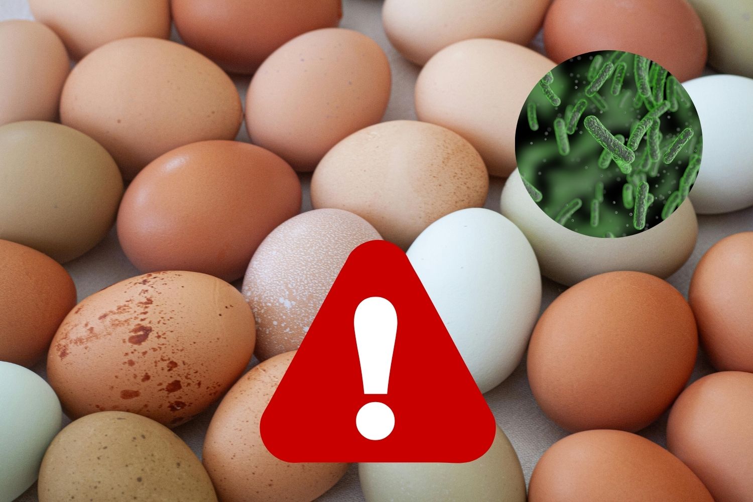 uova salmonella settembre 26