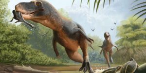 Fossilized dinosaur feces preserved an extinct bird’s feathers (and even its last meal)