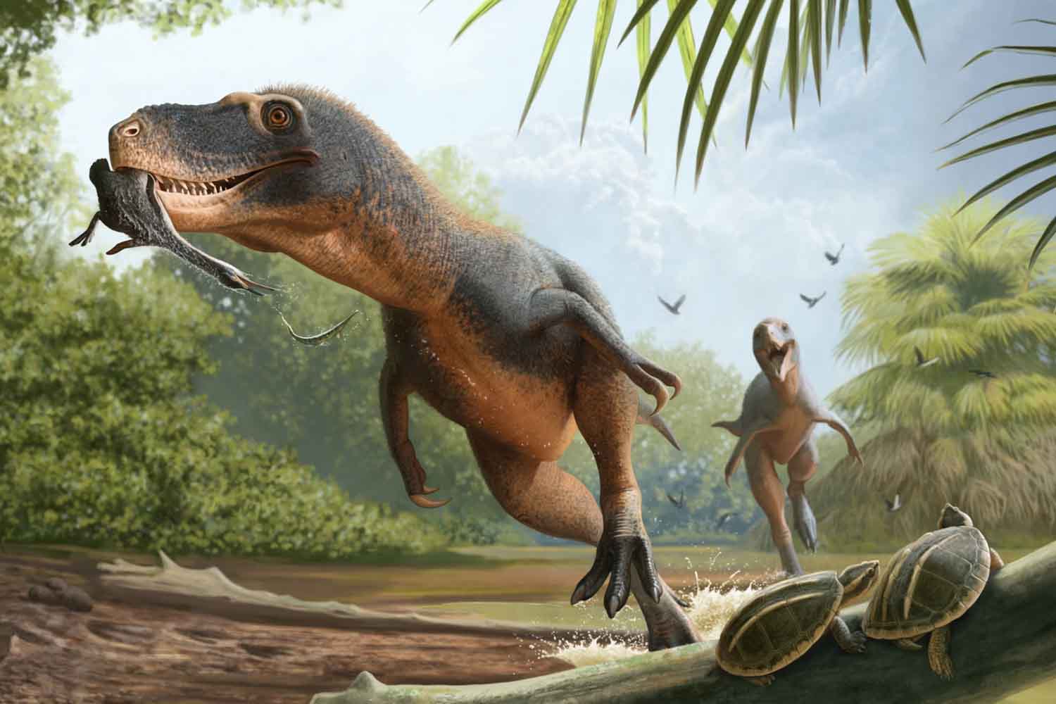 Tirannosauro