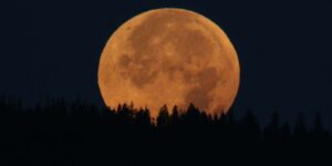The autumn equinox arrives with the splendid full Harvest Moon: here’s when it will light up the September sky