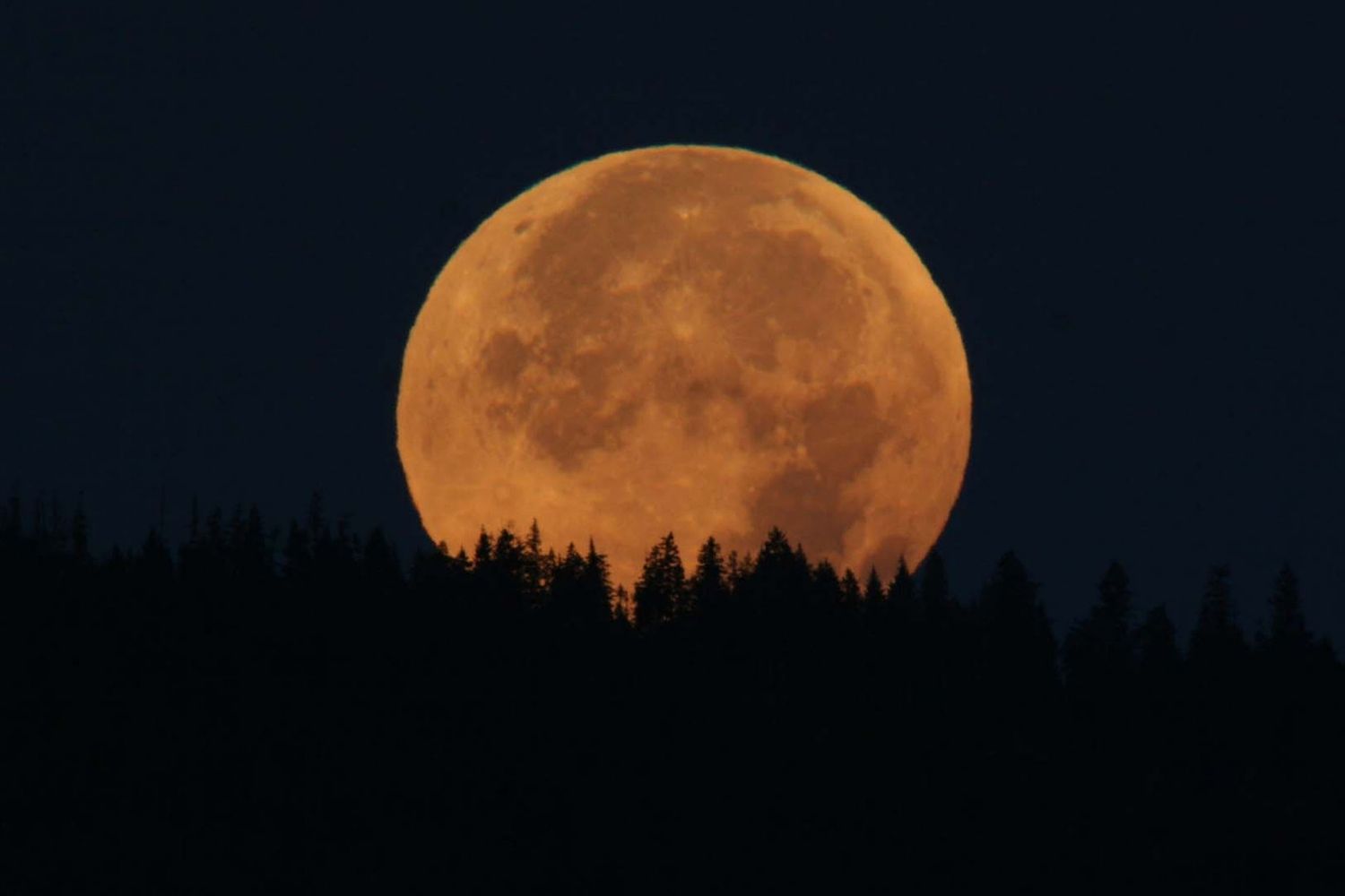 luna piena raccolto