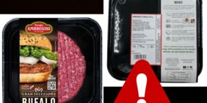 Buffalo burgers recalled for Salmonella: the batch and deadlines to check