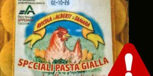 Eggs recalled due to chemical risk: batches and expiry dates to check