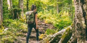 Where to go trekking in October: the most beautiful paths in Italy between Tibetan bridges, mines and UNESCO forests