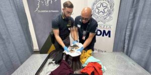 A crocodile head seized at Turin airport: the horror of illegal trafficking of protected species does not stop