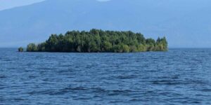 A floating island covered in trees appeared in a Canadian lake and then suddenly disappeared from satellites