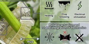 Goodbye electronic waste: the robot that transforms it into natural compost is born