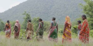 In India a village of 38 families has brought 230 hectares of forest back to life (and reborn the springs)