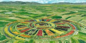 In Peru they have put the Inca waru waru back into operation: 3,000 years later they are still helping potatoes against the extreme climate