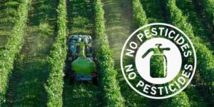 Pesticides, doctors and pediatricians against the new EU rules: “health before simplification”
