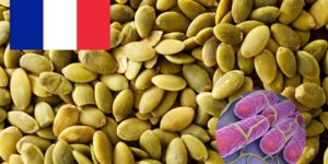 Pumpkin seeds contaminated by Salmonella, over 80 cases recorded in France: national recall triggered