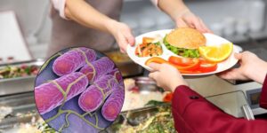 Salmonella in school canteens: 89 infected people and 14 children hospitalized in the Brescia area