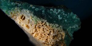 Scientists have come across “plastic corals”, fragments of coral fused with plastic that represent a new form of pollution