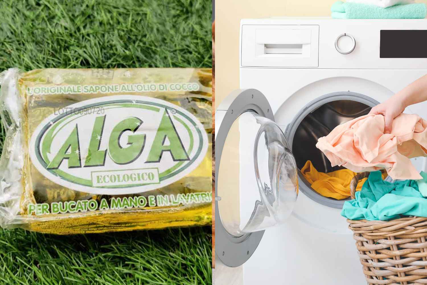 sapone alga lavatrice