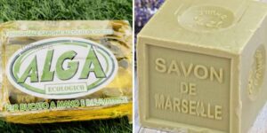 Seaweed soap: what is the difference with Marseille soap and all the tricks for using it both at home and in the garden