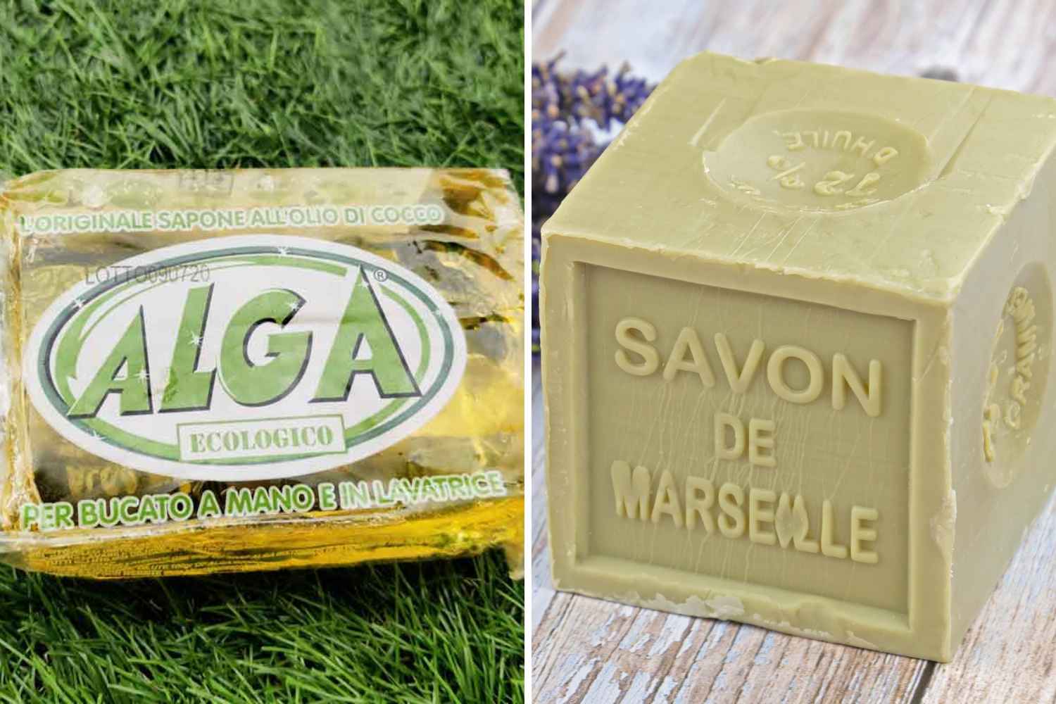sapone alga