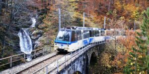 The Foliage Train is ready to leave again, the unmissable autumn journey through the colorful woods is back: how to book