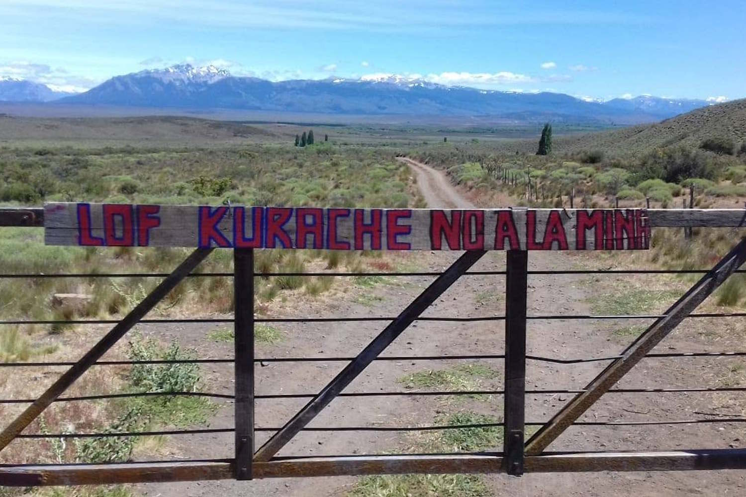 mapuche argentina