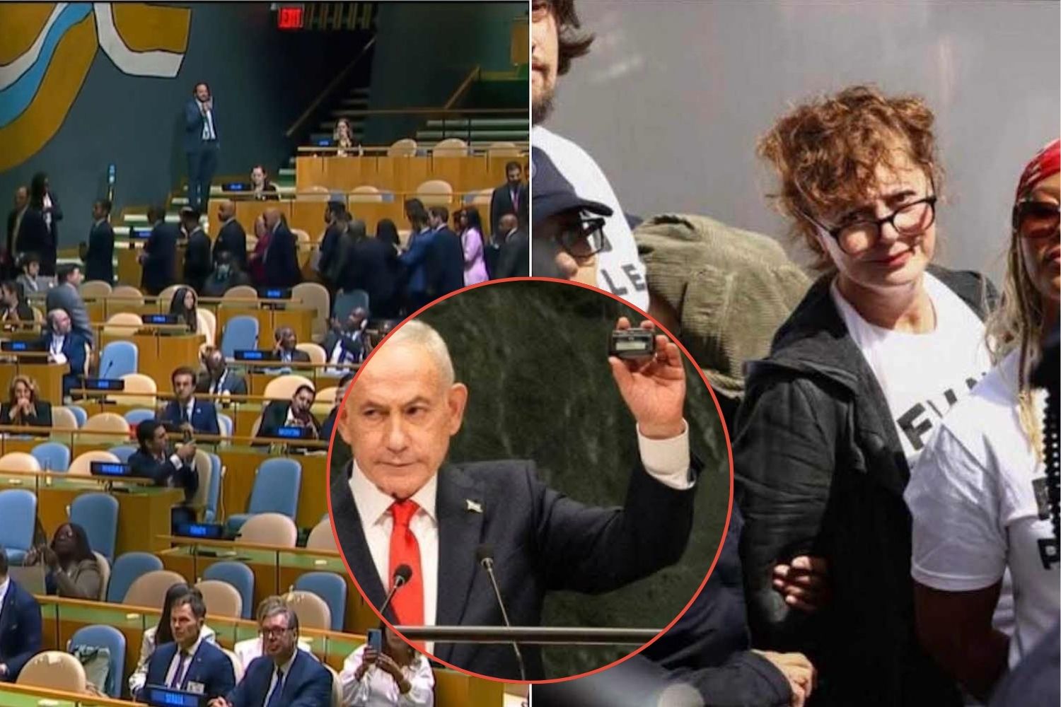 Netanyahu Sarandon