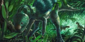 The chicken-sized dinosaur that made paleontologists around the world tremble