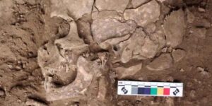 The oldest evidence of psychoactive substance use may be hidden in these 25,000-year-old teeth