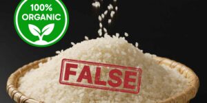 They passed off rice grown with pesticides as organic: a 10 million euro maxi-fraud discovered in the Pavia area