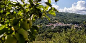 This Italian village, surrounded by greenery, is looking for new inhabitants: you can apply and try to live there