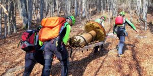 This huge porcini mushroom on a stretcher reminds us of the risks of looking for mushrooms (without adequate preparation): here are the mistakes not to make