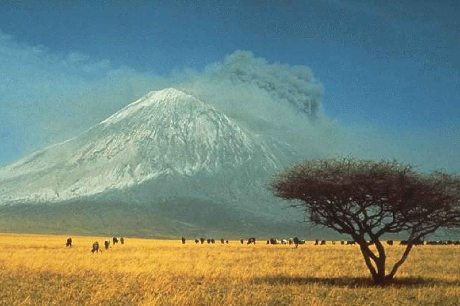 Ol Doinyo Lengai