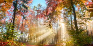 Weather, everything changes from September 22nd and with the arrival of the autumnal equinox: the regions that will feel the cold first