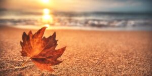 Why the Autumn Equinox Doesn’t Always Fall on September 21 (And What Really Happens on That Day)