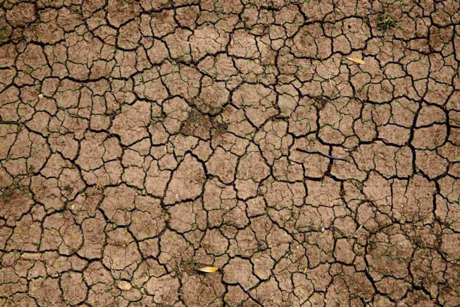 Zenith close-up of a barren, clayey soil completely cracked due to drought and lack of water