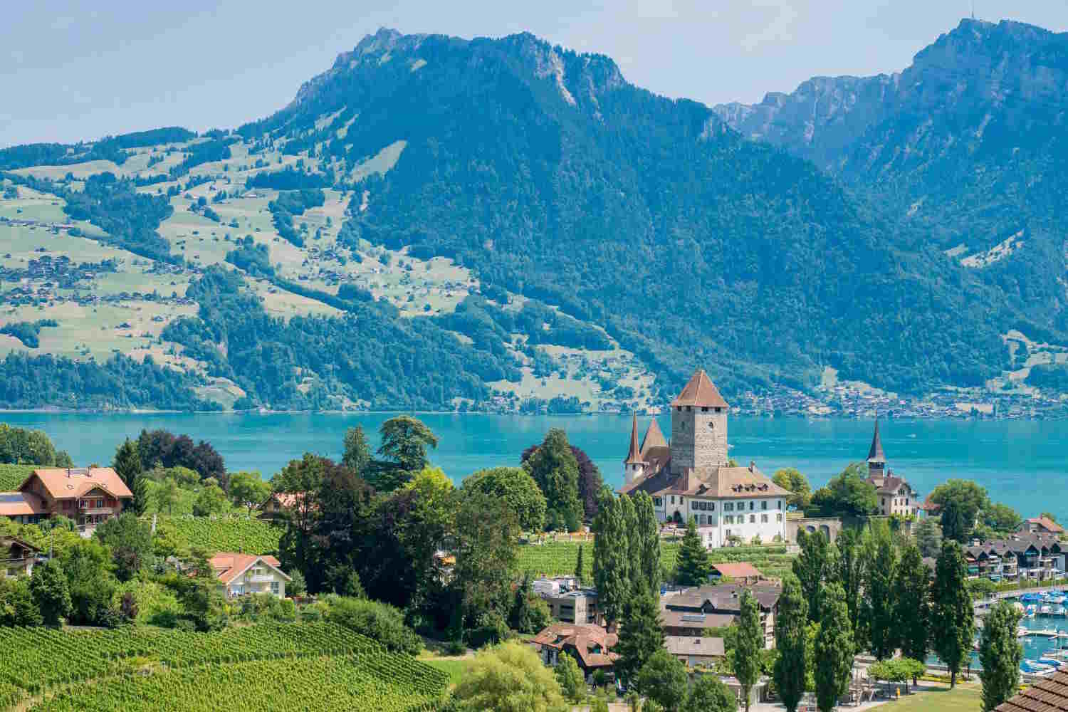 Spiez - little green train of the Alps