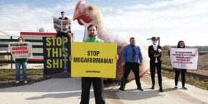 “Stop this shit!”: Greenpeace climbs the roofs of a giant chicken farm to save Europe’s Amazon