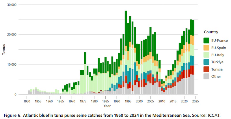tuna farms