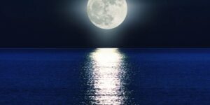 Let’s not miss the most beautiful show of October, the splendid full Hunter’s Moon