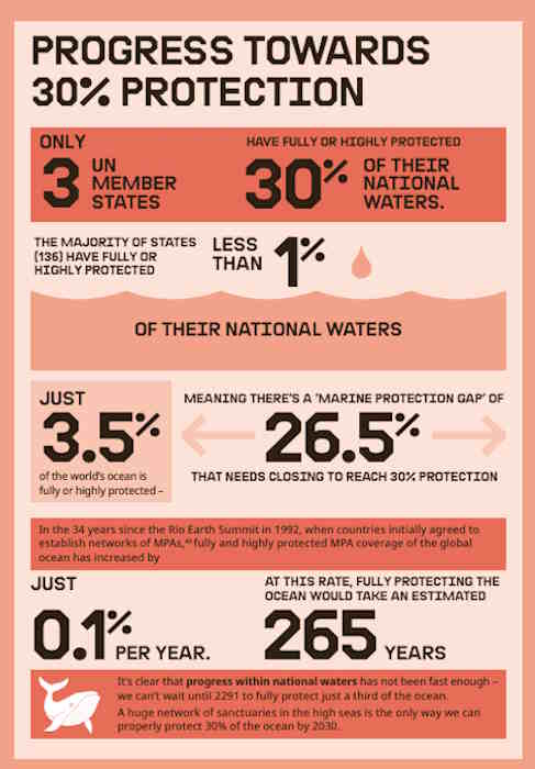 greenpeace report