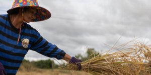 COP17, it is indigenous people who save biodiversity: these stories demonstrate why the world must listen to them