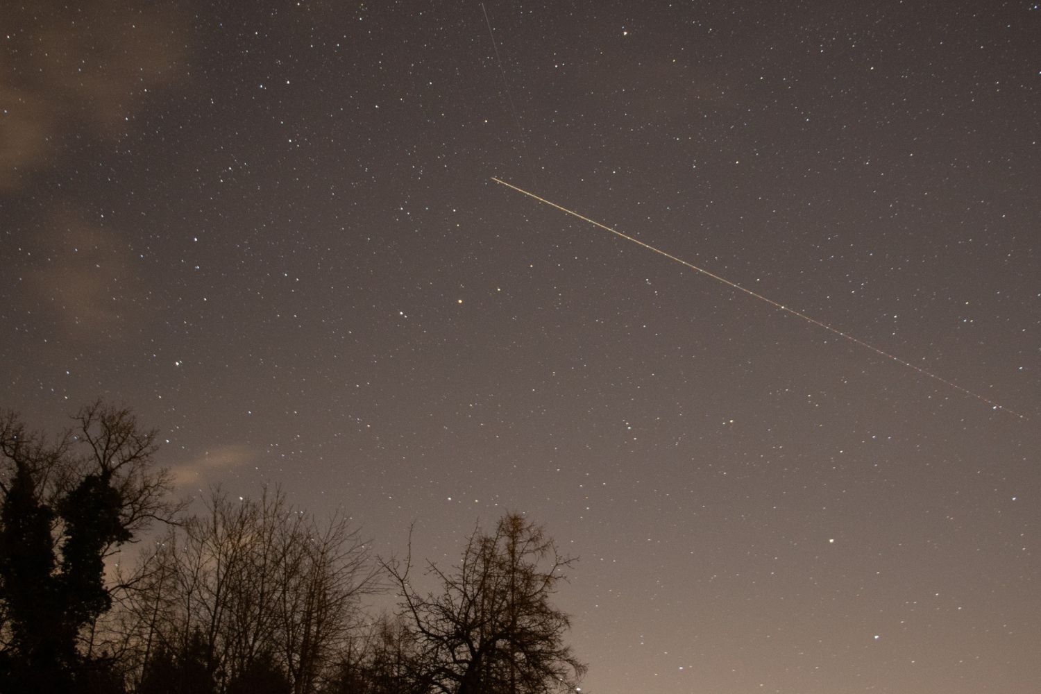 stelle cadenti