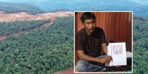 Volkswagen, Ford and Tesla: the dark side of electric batteries that arise from the destruction of Indonesian forests