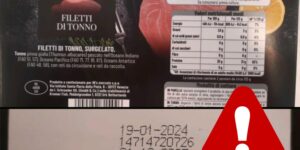Histamine beyond limits, In’s recalls frozen tuna fillets: here is the batch not to be consumed