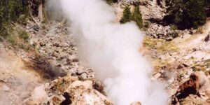 A fire amoeba capable of reproducing above 60°C discovered: the record-breaking organism that challenges the limits of life surprises scientists