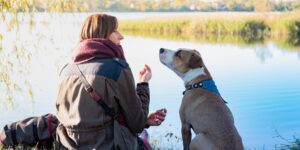 At the University of Siena, students will learn how plants and animals communicate, the Multispecies Communication Laboratory is underway, the first in Italy