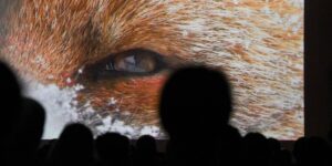 Do you love describing nature through the camera? Apply for the 30th edition of the Gran Paradiso Film Festival, you can win up to 5000 euros