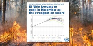 El Niño is strengthening at impressive rates and will reach its peak in December, the UN: “it will be one of the most violent ever”