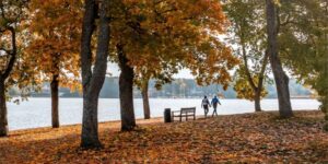 Finland, the Turku archipelago is looking for a “nose”: 2000 euros to be the “perfumer” of the islands. How and who can apply